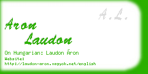 aron laudon business card